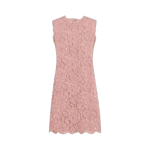 A-Line Sleeveless Mini Lace Dress