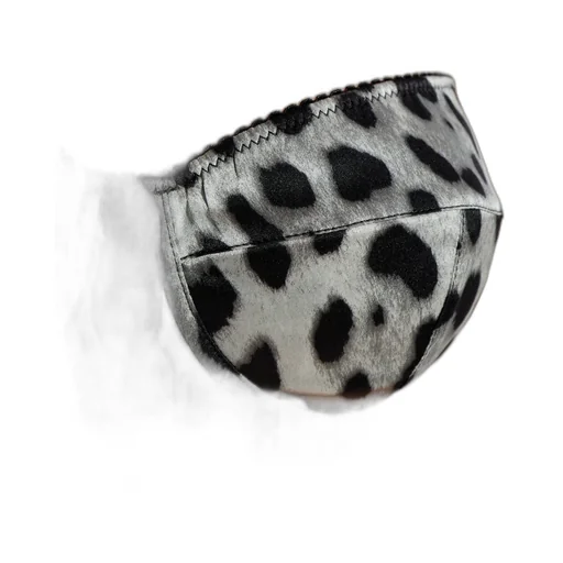 Leopard Printed Bra