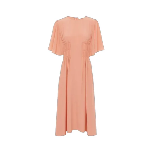 Wing Sleeved Flared Dress