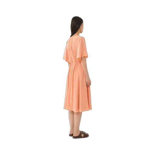Wing Sleeved Flared Dress