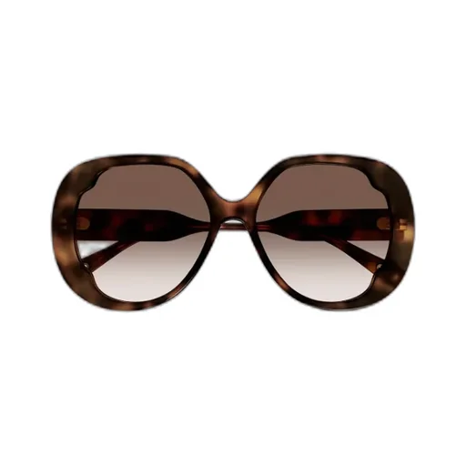 Butterfly Frame Sunglasses