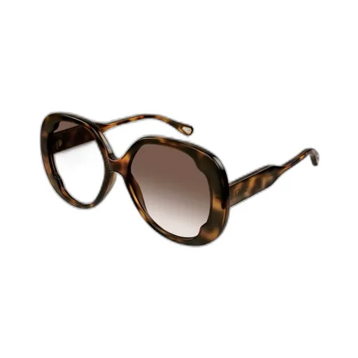 Butterfly Frame Sunglasses