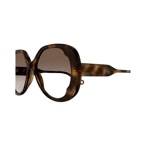 Butterfly Frame Sunglasses