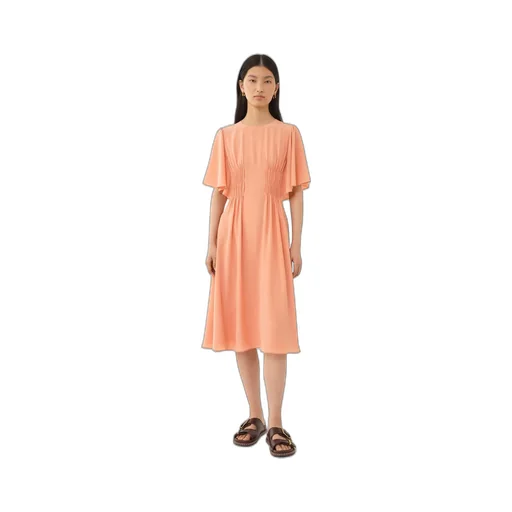 Wing Sleeved Flared Dress