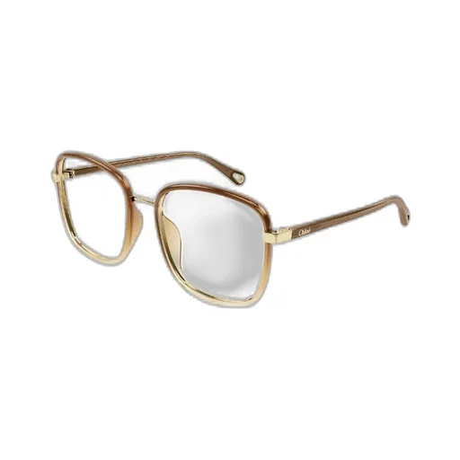 Square Frame Glasses