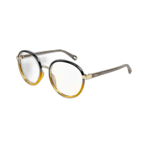 Round Frame Glasses