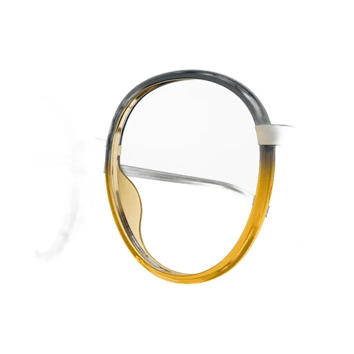 Round Frame Glasses