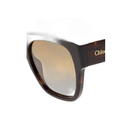 Square Frame Sunglasses