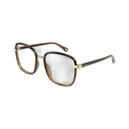 Square Frame Glasses