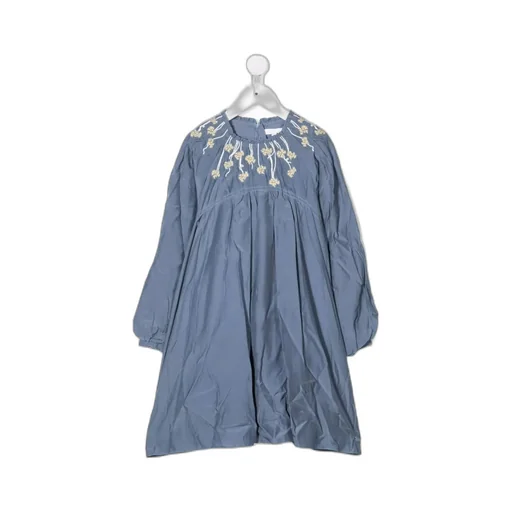 Embroidered Panel Dress