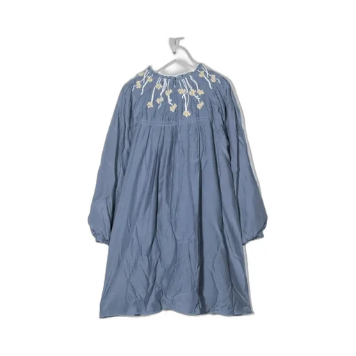 Embroidered Panel Dress
