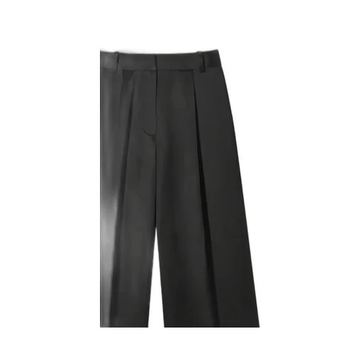 Pleated Trousers