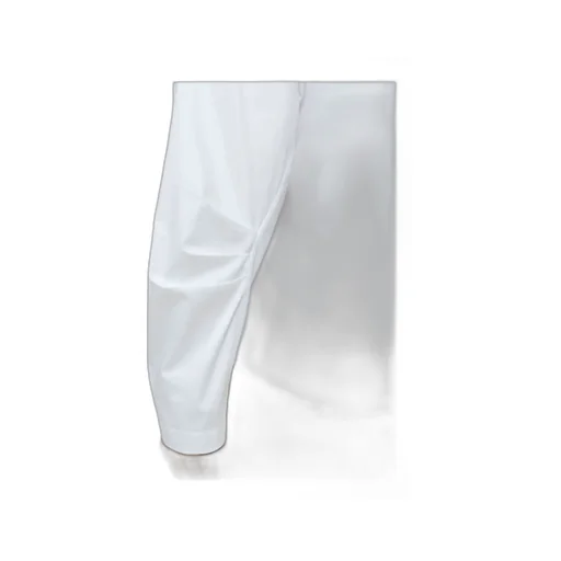 Pleated Sleeve Shirt