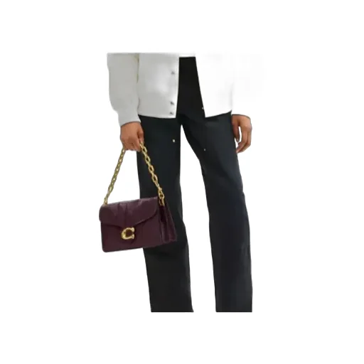 Tabby Chain Shoulder Bag