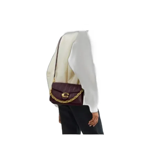 Tabby Chain Shoulder Bag