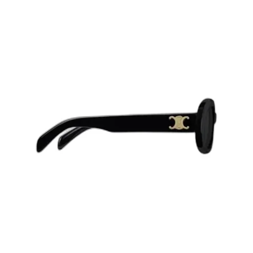 Triomphe 01 Sunglasses In Acetate