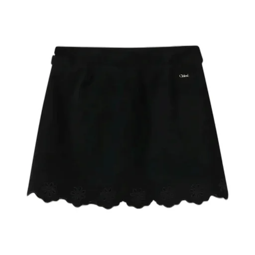 Openwork Scalloped-Hem Floral-Embroidered Skirt