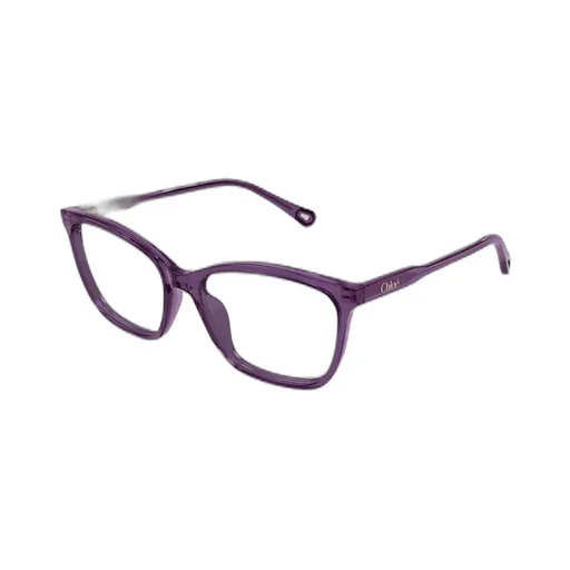 Square Frame Glasses