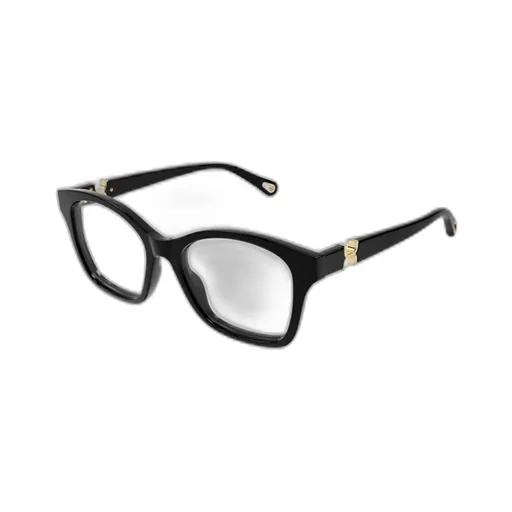 Square Frame Glasses