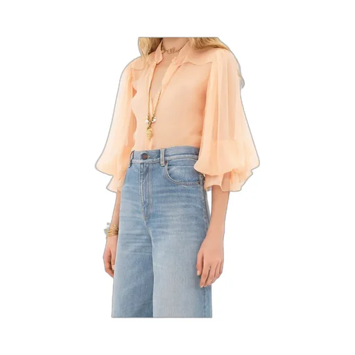 Semi-Sheer Long-Sleeved Blouse
