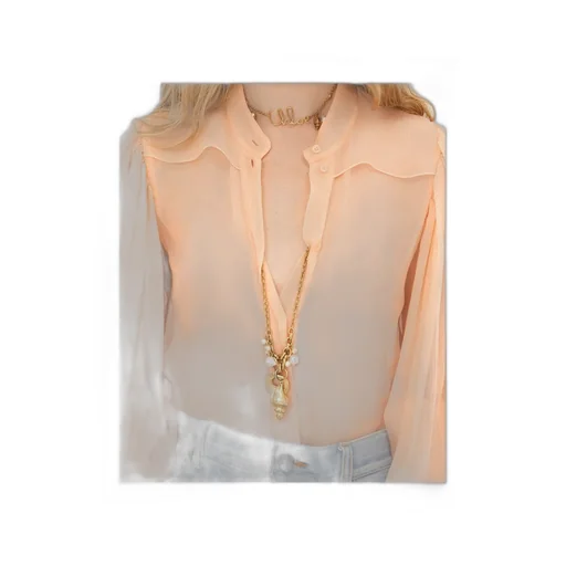 Semi-Sheer Long-Sleeved Blouse