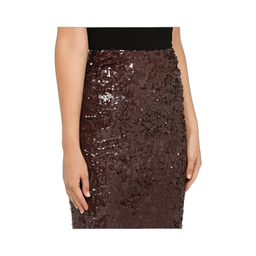 Sequined Skirt
