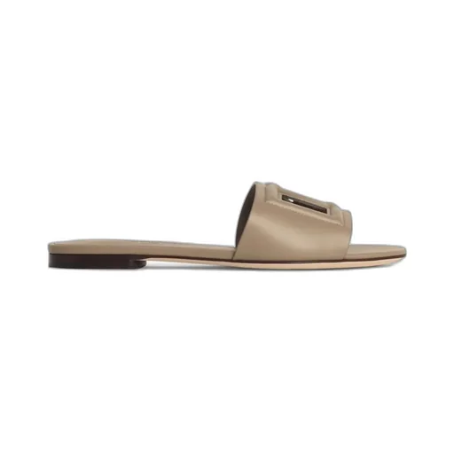 Dg Logo Cut Out Slides