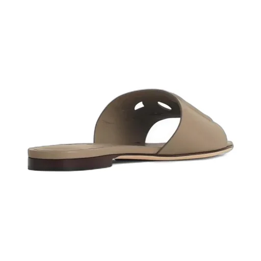 Dg Logo Cut Out Slides