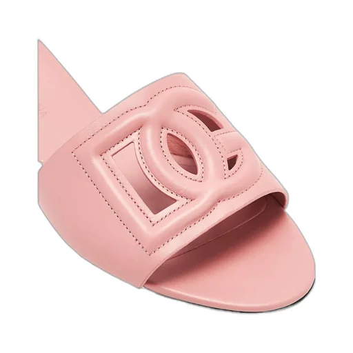 Dg Logo Cut Out Slides