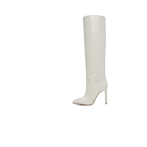 Pointed Boots