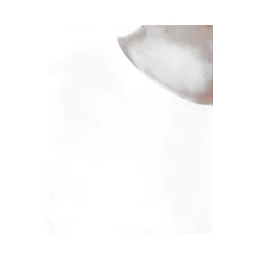 Short-Sleeved T-Shirt