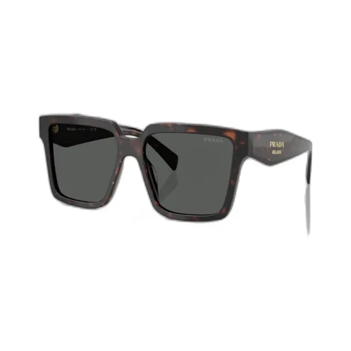 Square Frame Sunglasses