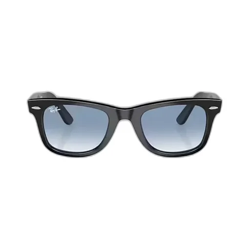 Wayfarer Sunglasses