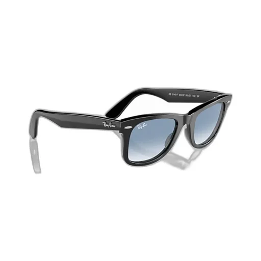 Wayfarer Sunglasses