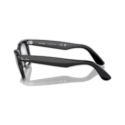 Wayfarer Sunglasses
