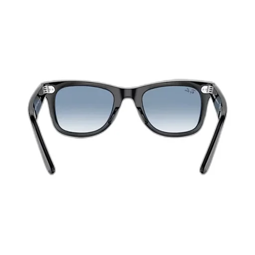 Wayfarer Sunglasses