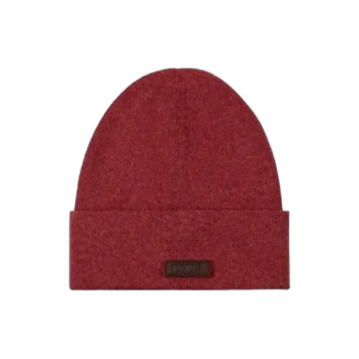 Icons Beanie