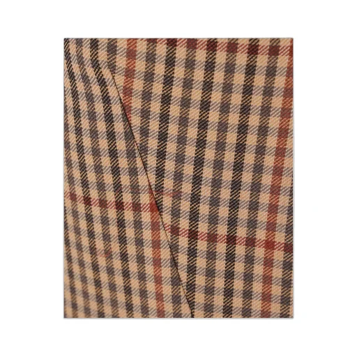 Checked Flared Skirt