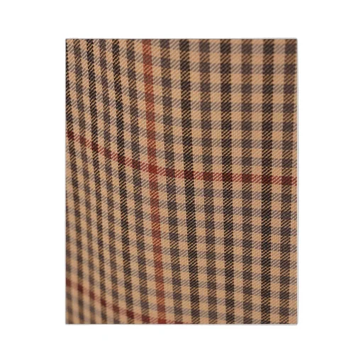 Checked Flared Skirt