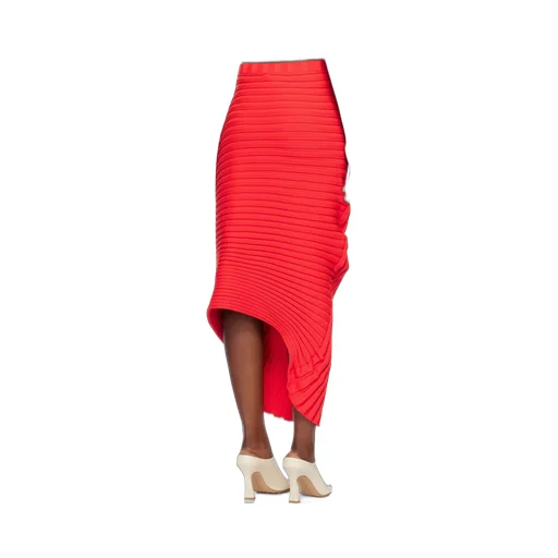 Pleated Maxi Skirt