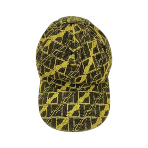 Logo Baseball Hat