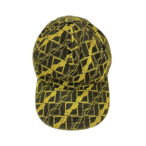 Logo Baseball Hat