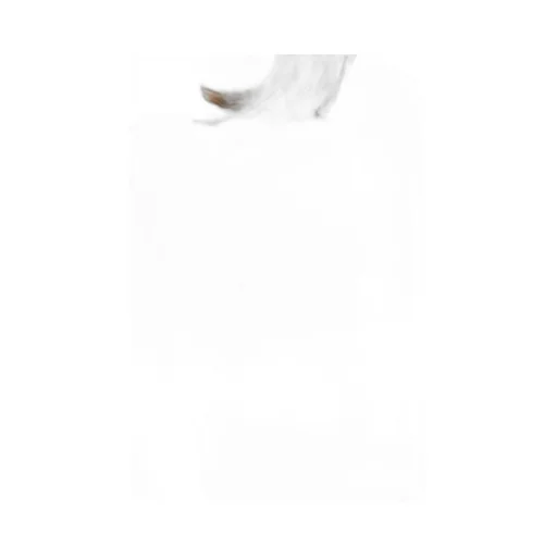Crewneck Fitted Dress