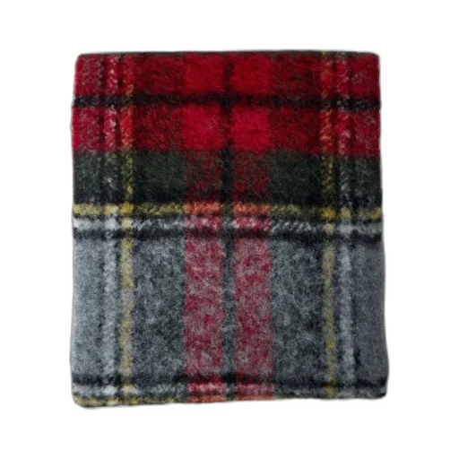 Logo Patch Checked Fringed Scarf