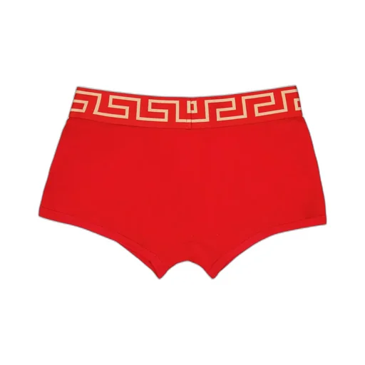 Greca Border Stretched Boxer Briefs