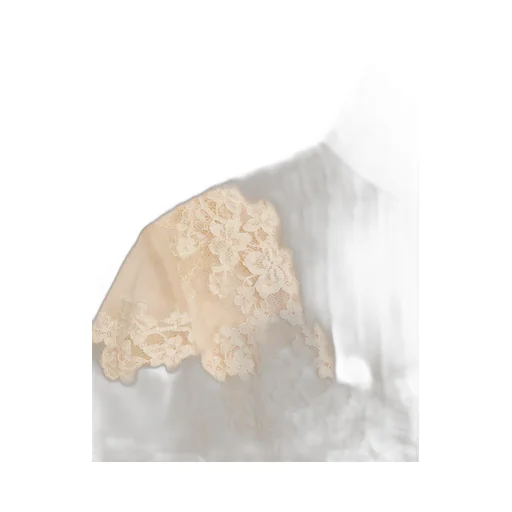 Top In Dentelle With Roses Pattern