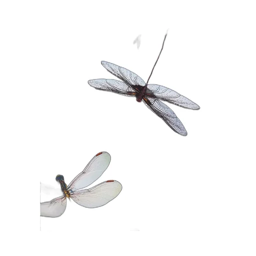 Dragonfly-Print Clutch Bag