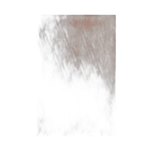Toute La V Frayed Edge Scarf