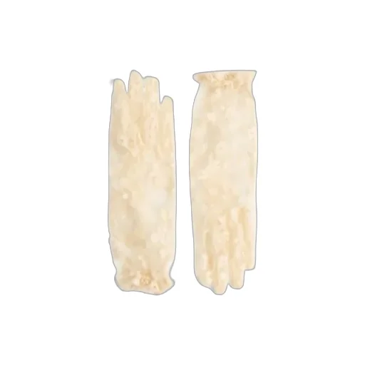 Vlogo Plaque Lace Gloves