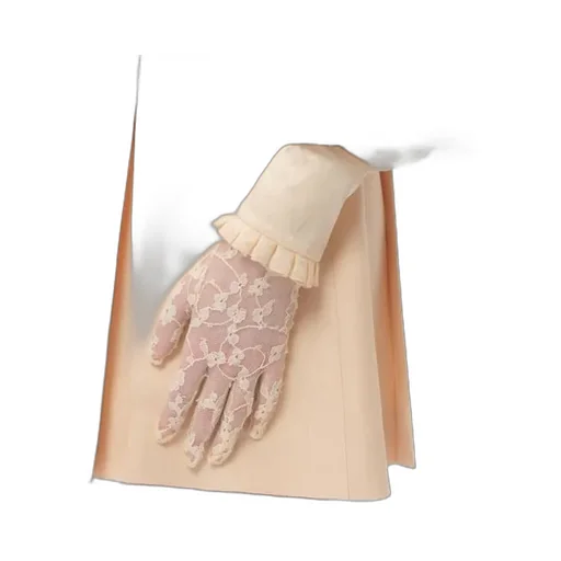 Vlogo Plaque Lace Gloves